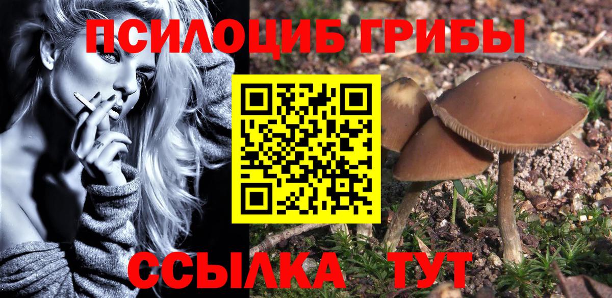 Псилоцибиновые грибы Cubensis Иркутск